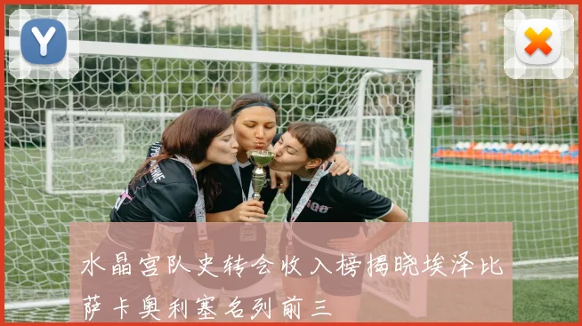 水晶宫队史转会收入榜揭晓埃泽比萨卡奥利塞名列前三