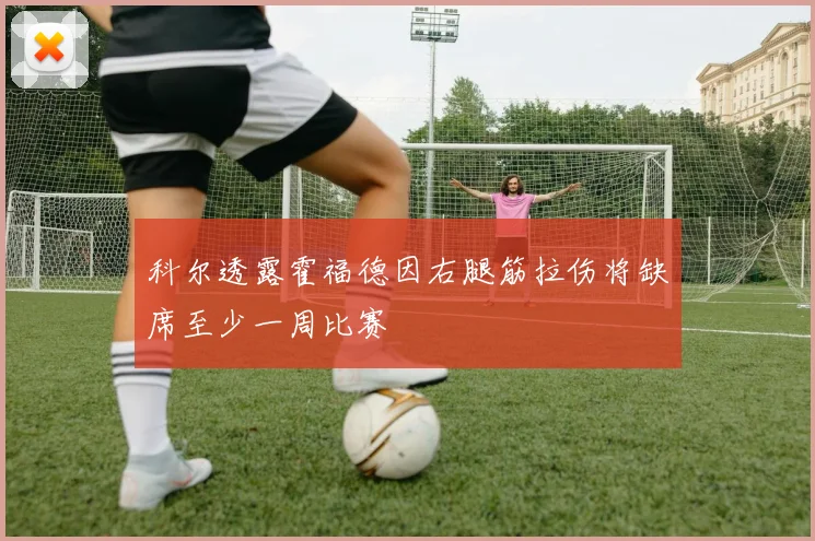 科尔透露霍福德因右腿筋拉伤将缺席至少一周比赛