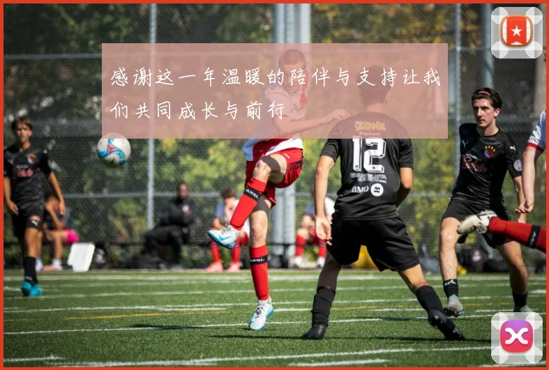 感谢这一年温暖的陪伴与支持让我们共同成长与前行